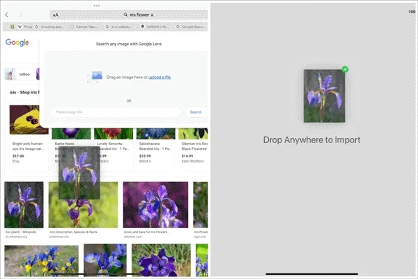 概念画板官方下载跟会员积分单机版,快速响应计划设计-XR_v4.120
