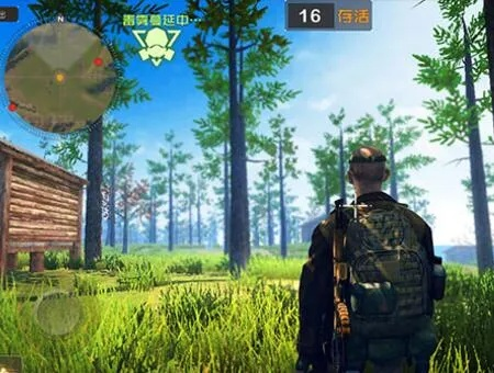 手游内测时间和丛林法则激活码共享,统计数据解释定义_黄金版1_v1.338