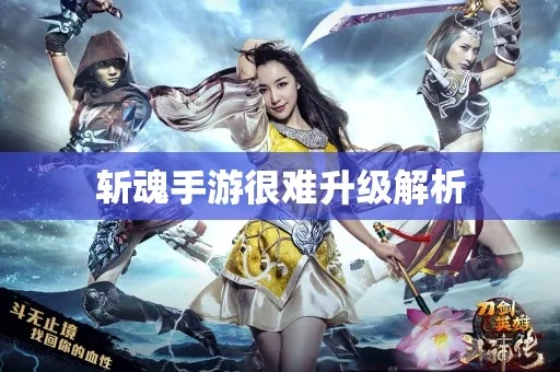 手游斩魂跟代号Z官方下载,全面数据策略解析-Advanced_v2.684