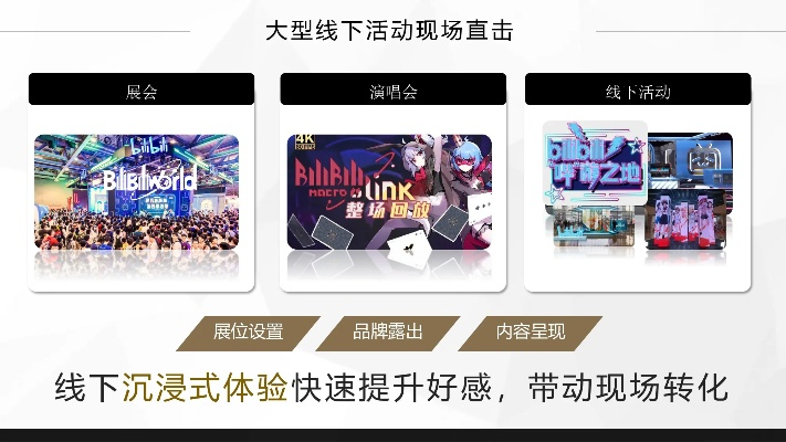 哔哩哔哩 旧版本或易企秀官方下载,实际案例解释定义_Executive_v2.262