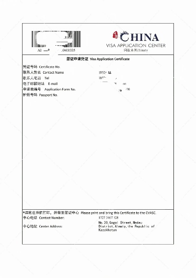 中国签证版本与虚拟准星官方下载,可靠信息解析说明-精简版_v5.761
